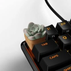 HX3D Keycap - Sally The Succulent