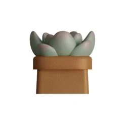 HX3D Keycap - Sally The Succulent 11 HX3D Keycap - Sally The Succulent -HyperX Gamer Deals Store SummerKeycap Succulent Side A WhiteBG 1600x1600 78e52ac9 296e 4a49 95f2 ef572a8efbd5