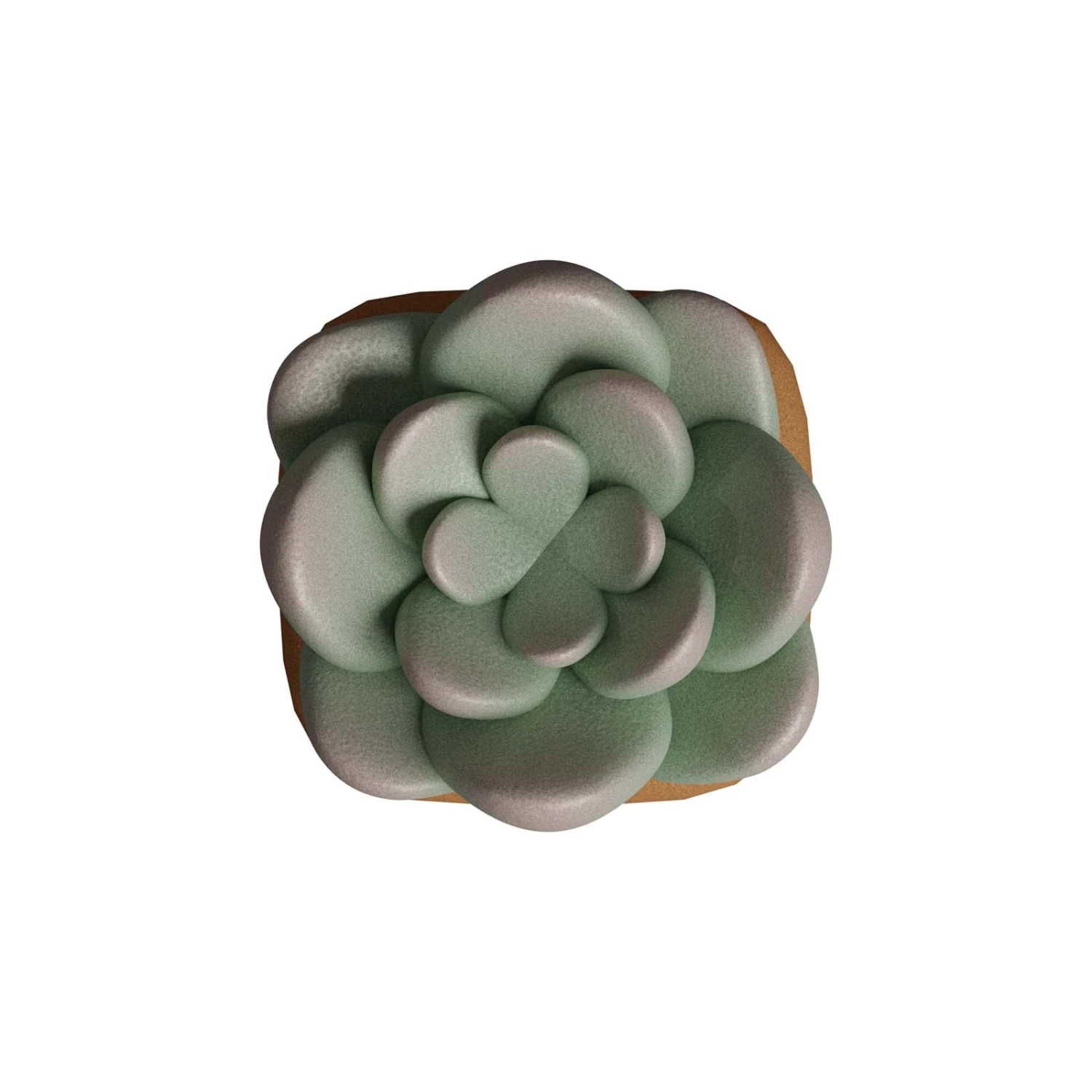 HX3D Keycap - Sally The Succulent 4 HX3D Keycap - Sally The Succulent - Image 4